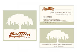 Business Card & Logo Icon Graphic for BonTerra Consulting