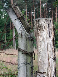 garnison vogelsang (1)