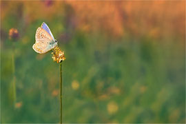 idealer Aussichtspunkt  Tamron 70-300 mm