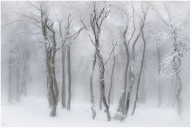 Naturfotografie, Winter auf dem großen Feldberg im Taunus