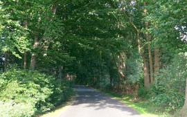 Straße am Lehmberg, die zum Fußballplatz führt