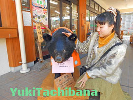 立花雪 YukiTachibana