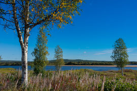 am Torne älv, dem Grenzfluss zwischen Schweden und Finnland