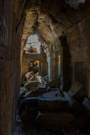 in den Gängen des Ta Prohm Tempels