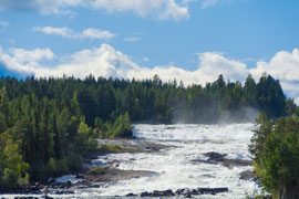 am Storforsen im Piteälven