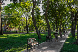 im Ho Chi Minh City Park