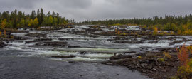 Trappstegsforsen am Vildmarksvägen