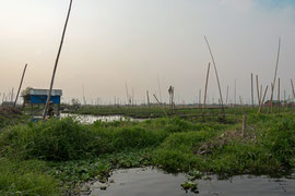 Es entwickelten sich die heute rund um den Inle-See übliche Landwirtschaft auf dem Wasser: Aus Schlick und Wurzeln der Wasserhyazinthen aus dem See bauen sich die Landwirte schwimmende Gärten, die mit Bambusstangen im Boden verankert werden.