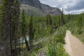 Spazierweg am Marble Canyon 