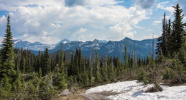 Frühsommer im Revelstoke National Park