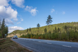 E12 zwischen Lycksele nach Umeå 