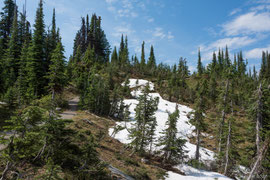 unterwegs im Revelstoke National Park