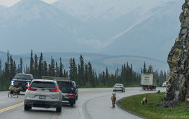auf dem Yellowhead Highway