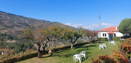 Quinta da Timpeira in Lamego (Alto Douro), ein ehemaliges Weingut, tolle Unterkunft mit einer guten Küche ... 