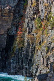 Abisko Canyon (Abisko-kanjon) 