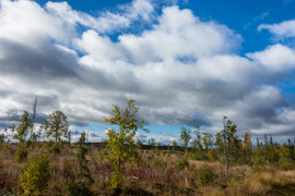 von Vilhelmina nach Lycksele