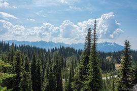 Blick vom Fire Lookout