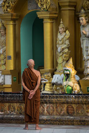 Die Shwedagon-Pagode, beliebtes Ziel für Mönche, Einheimische und Touristen.