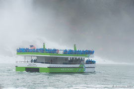 die Maid of the Mist unterwegs zum Horseshoe Falls