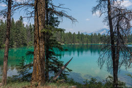Lake Annette und der benachbarte Lake Edith, zwei Seen oberhalb Jasper, ideal für Ruhesuchende - mit Badestränden (hundefrei), Picknickplätzen und einen Spielplatz und ab und zu Wapitis 