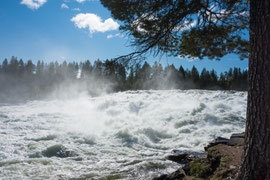 am Storforsen im Piteälven