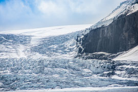 der Athabasca Glacier, eine der sechs Hauptzungen des Columbia Icefield -  die Vorderkante des Gletschers ist dank seiner Nähe zum Icefields Parkway auf dem 'Athabasca Glacier Trail' problemlos zu Fuss erreichbar (ca. 1.7 km und 100 m Höhendifferenz) 