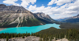der Peyto Lake (ausgesprochen Pee-Toh), etwa 40 km nördlich von Lake Louise am Icefields Parkway