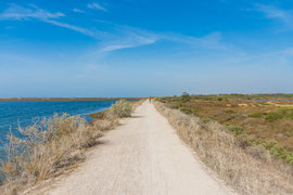 Der 'Ludo Trail' bei der Ria Formosa hinter der Stadt Faro. 