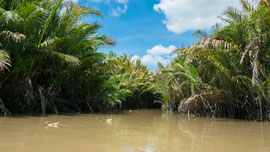 Unterwegs im Mekong-Delta, bevor der Mekong in das Südchinesische Meer fliesst. Aufgrund der von dem Strom mitgebrachten Schwebstoffe ist hier das Wasser gelbbraun gefärbt.