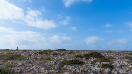 die Landzunge Ponta de Sagres