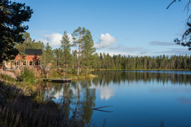Pinetree Lodge am Saarijärvi, Särkimukka