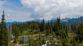 unterwegs im Revelstoke National Park