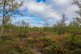 auf dem Njakajaure-Trail 