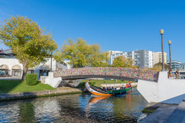 Moliceiros in Aveiro, traditionelle, langgestreckte, flache Boote mit hochgezogenem Bug. 