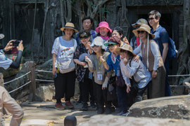 man ist nicht allein im Ta Prohm Tempel (Angkor Archaeological Park) ...