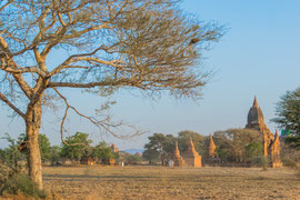 nachmittags bei den alten Tempeln von Bagan