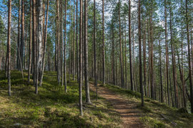 im Hossa Naturpark