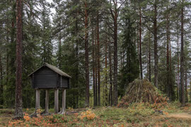 Sami-Siedlung in Vilhelmina