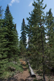 Spazierweg auf Pyramid Island 