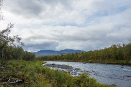  Abiskojåkka, auch Ábeskoeatnu im Abisko Nationalpark