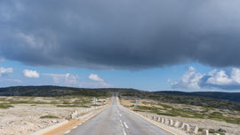 auf der ER339 in Richtung Torre in der Serra da Estrela