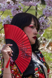 Fotoshooting unter Kirschblüten im High Park Toronto 