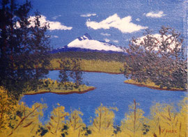 1993 February - (001)