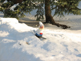 Bunny Slope - January 2009