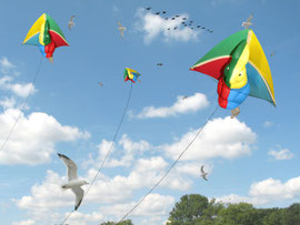 Bun Kite - March 2009