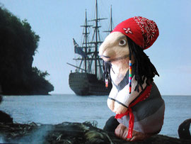 Captain Jack Rabbit - June 2005