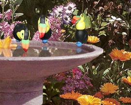 Toucan Bunnies - April 2006