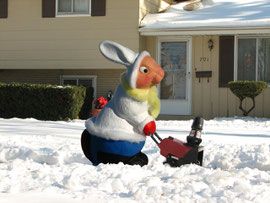 Hareratio Snow Blower - January 2007