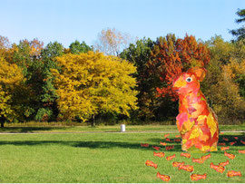 Autumn Hare - October 2005