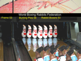 World Boxing Rabbits Federation - May 2008